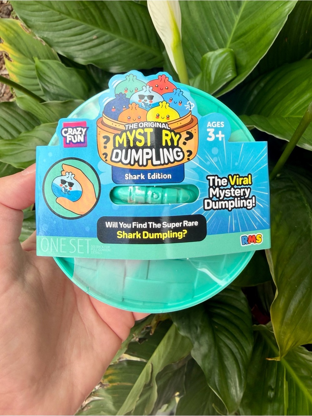 RARE Mystery Dumpling Shark Edition
